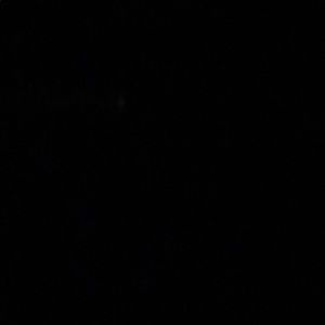 Meet your Posher, Bryce